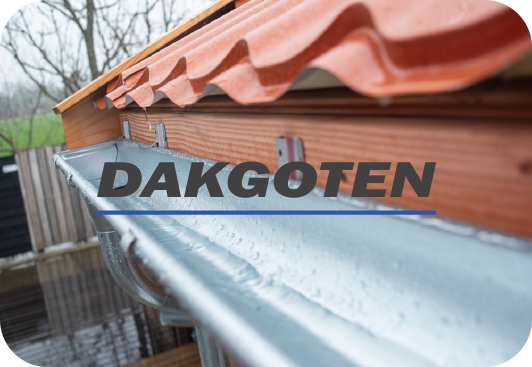 Reiniging dakgoten
